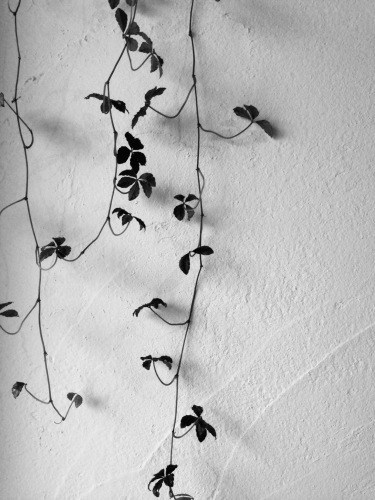 c0325500_11134142.jpg