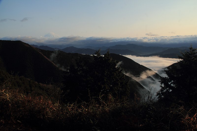 a0188405_1013760.jpg
