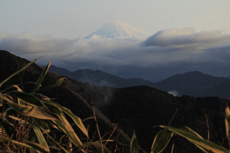 a0188405_9591744.jpg