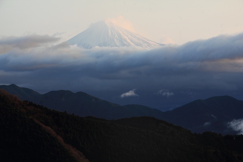 a0188405_959395.jpg