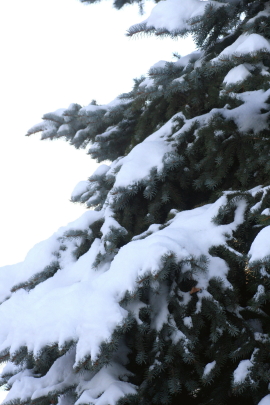 f0041606_21040889.jpg