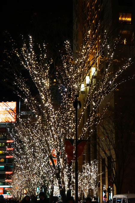 a0263109_1147618.jpg