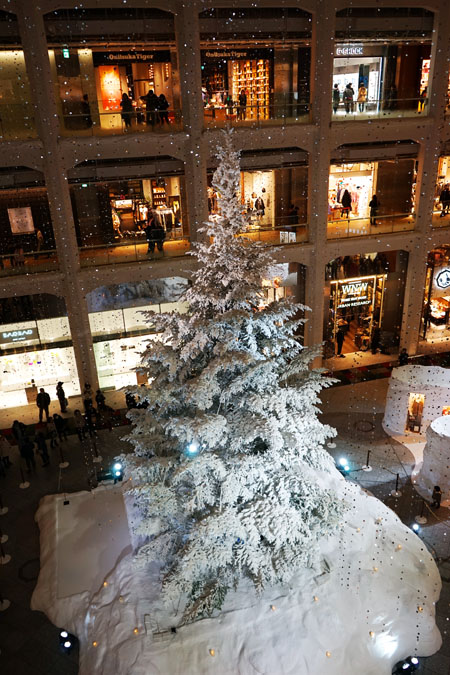 a0263109_11531832.jpg