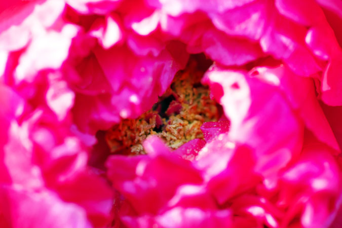 a0263109_2113151.jpg