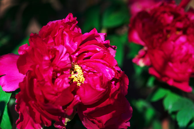 a0263109_211466.jpg