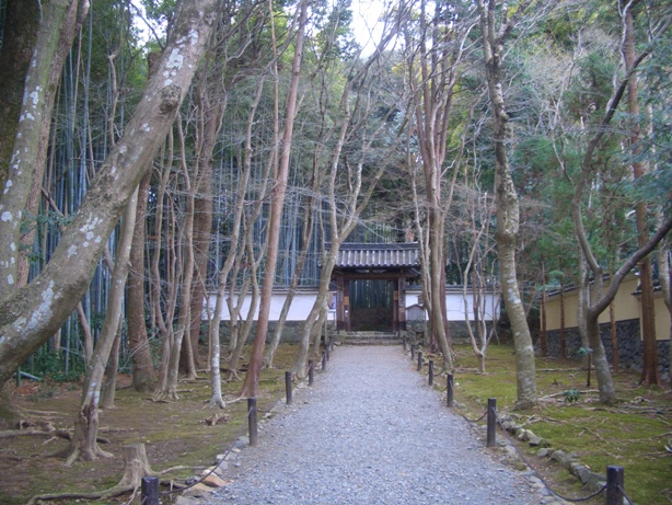 e0033713_09153157.jpg