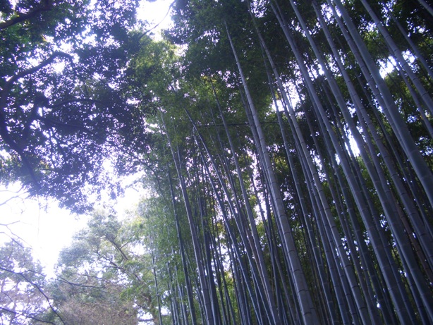 e0033713_09495938.jpg
