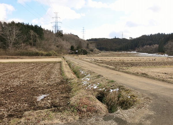 f0003138_11301260.jpg