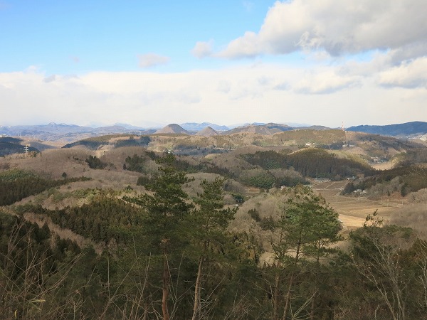 f0003138_11384885.jpg