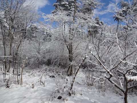 f0198556_2318329.jpg