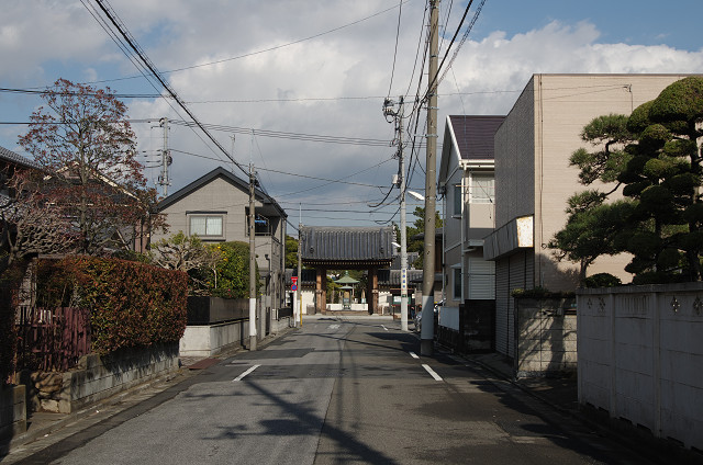 c0080357_1782733.jpg