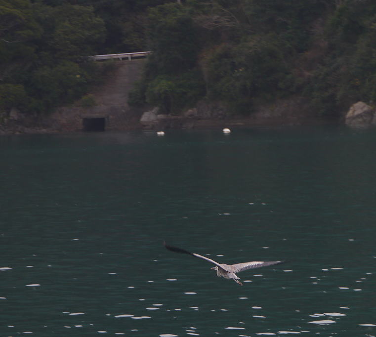 f0178858_20271639.jpg