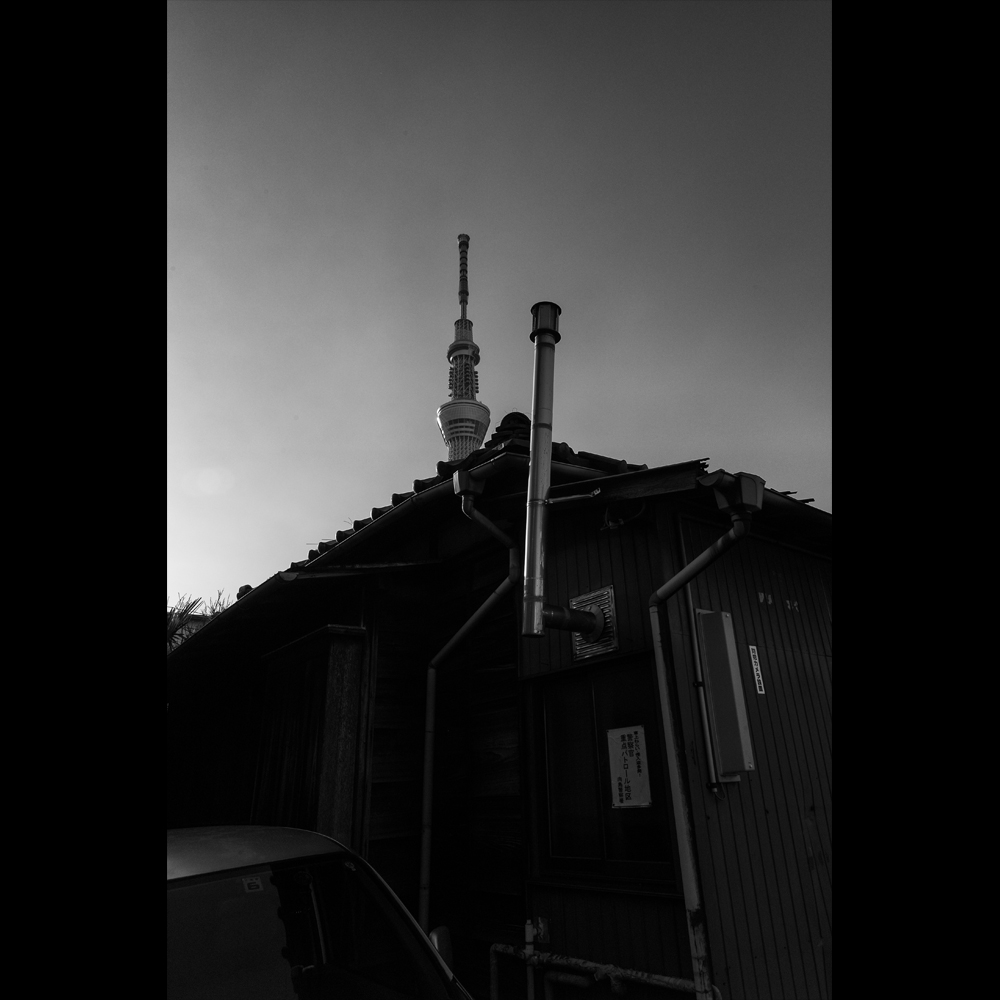 c0118173_20251137.jpg