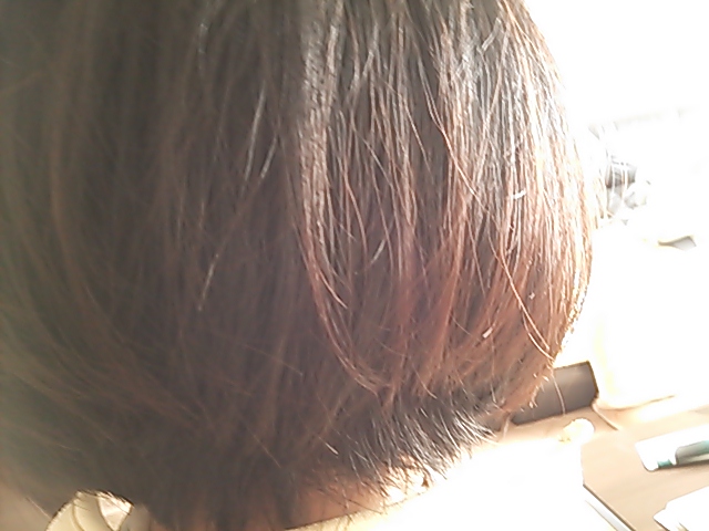 c0204188_17291592.jpg