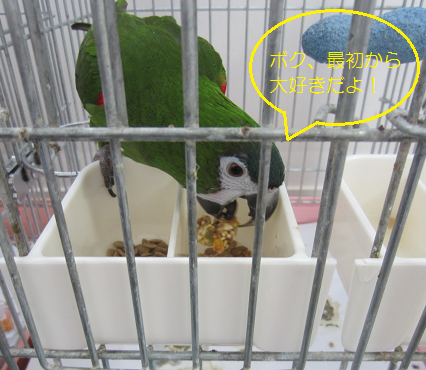 f0234590_834247.png