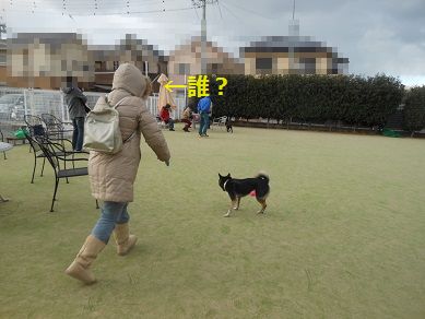 a0137294_102699.jpg