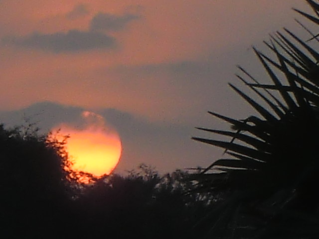 b0044296_21541572.jpg