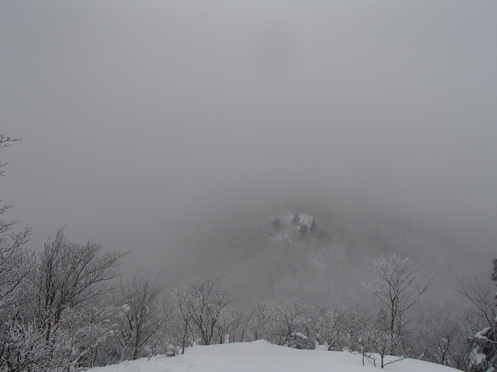 b0039898_17501680.jpg
