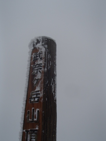 b0039898_17503011.jpg