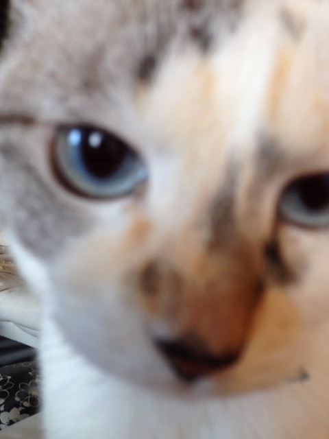 d0057701_9241734.jpg