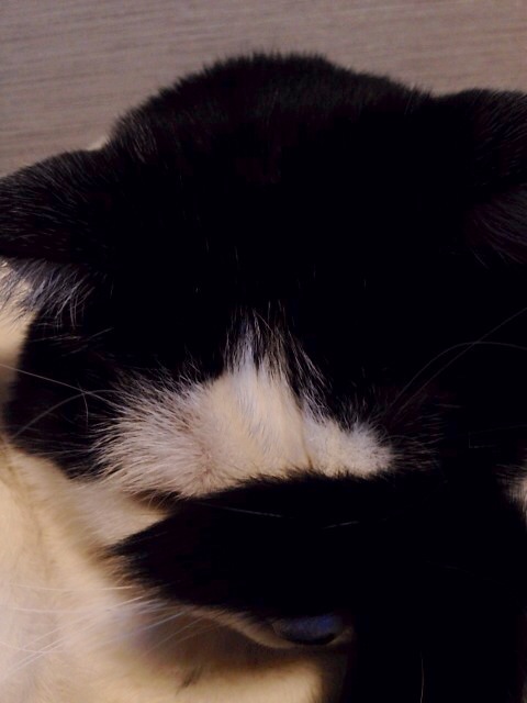 d0057701_9241760.jpg
