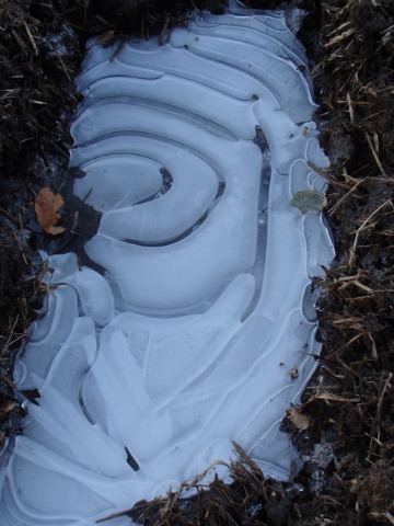 c0302102_917216.jpg