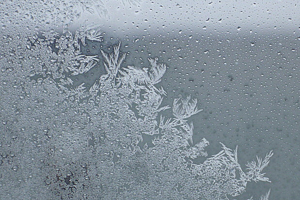 a0214206_20394540.jpg