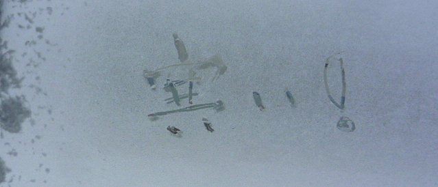a0214206_22322413.jpg