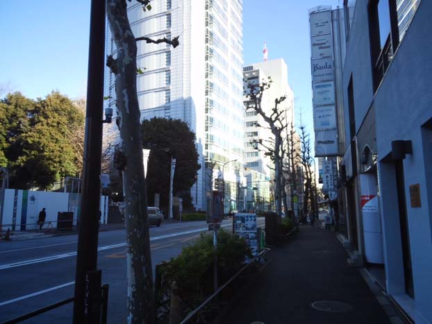 c0083518_852569.jpg