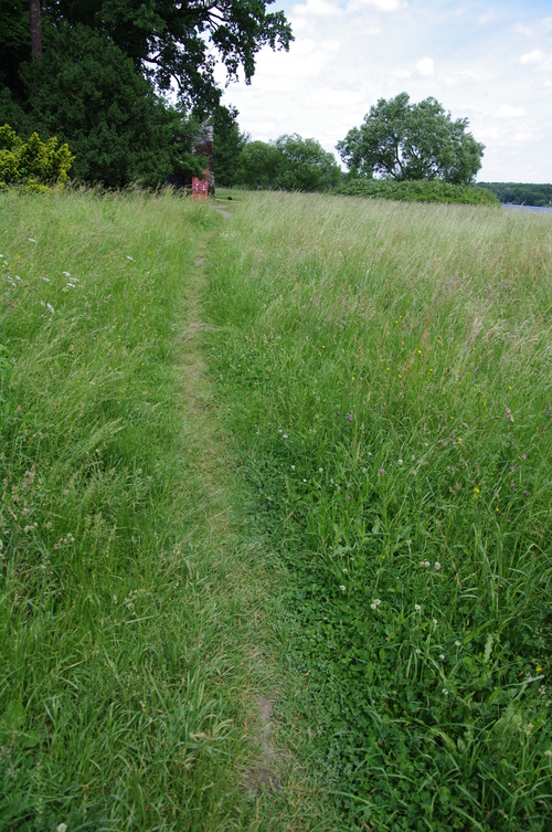 d0023725_17131570.jpg