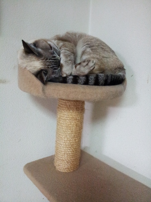 f0009031_9273679.jpg