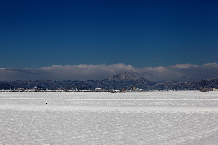 a0294534_2024543.jpg