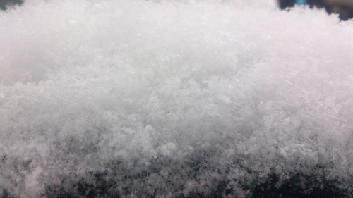 c0300035_9331817.jpg