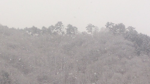 c0300035_945516.jpg