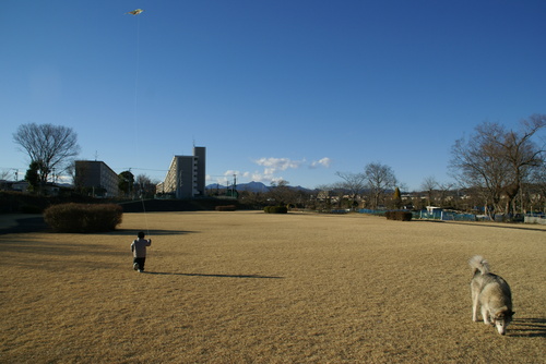 e0143442_1743738.jpg