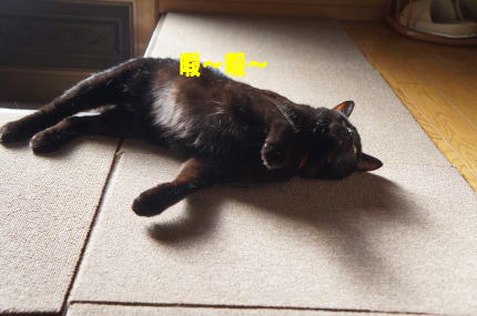 d0013645_1442623.jpg