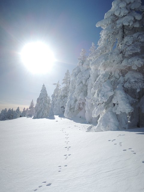 b0122448_22572348.jpg