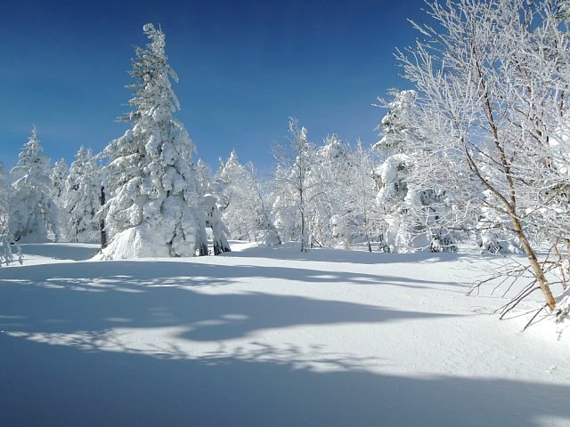 b0122448_230965.jpg