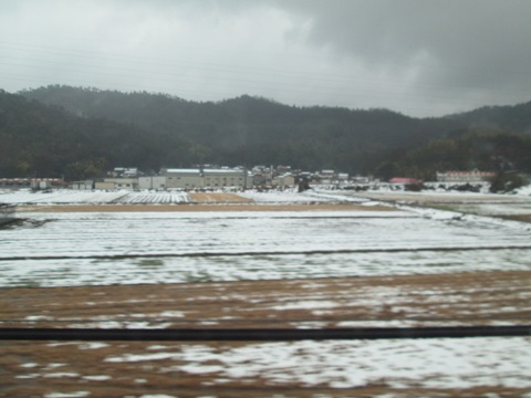 d0029363_9841100.jpg