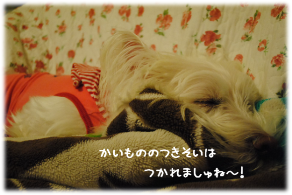 b0242873_02261947.png