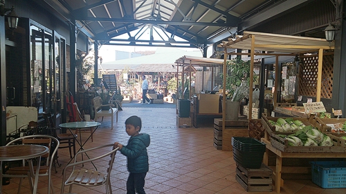 c0222474_1752592.jpg