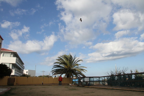 e0114977_1811777.jpg