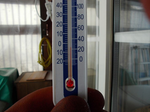 a0007388_1323411.jpg