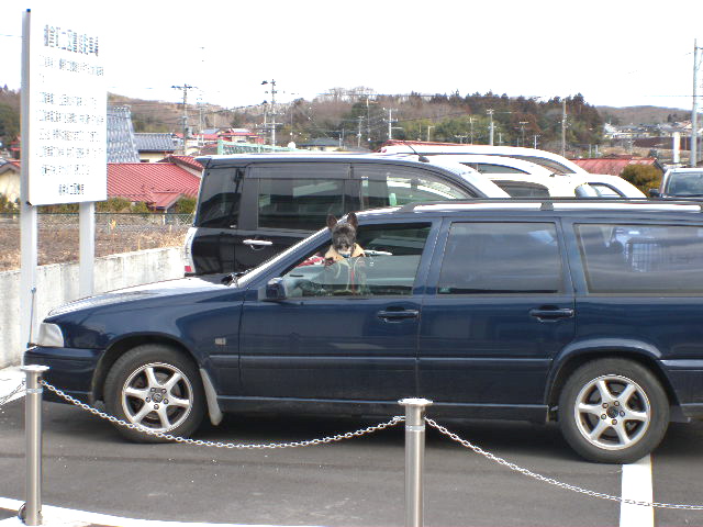 a0199297_1638638.jpg