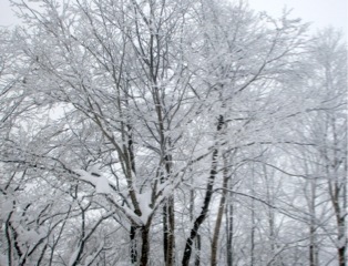 c0151898_17412325.jpg