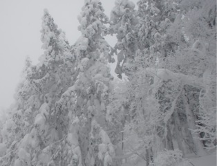c0151898_17414336.jpg
