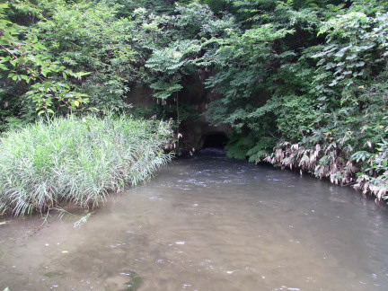 c0051112_13381476.jpg