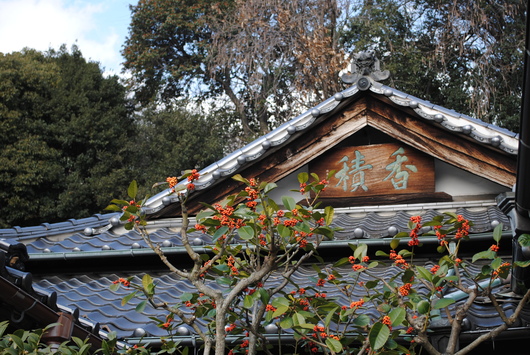 b0209919_22334537.jpg