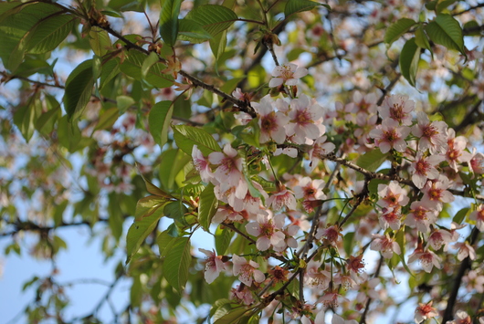 b0209919_2239958.jpg