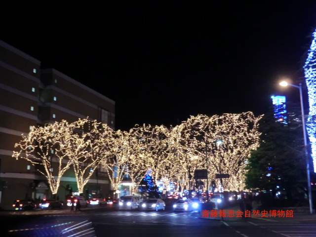 f0186021_21104451.jpg